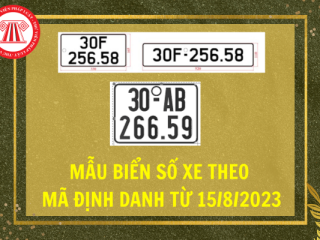 Biển số định danh là gì, một người được sở hữu bao nhiêu biển định danh?